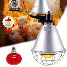 Aufzuchtleuchte Wärmelampe