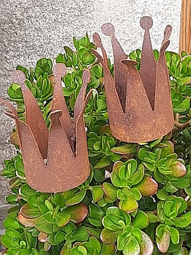 Pflanzschale krone stab - pflanzschale,