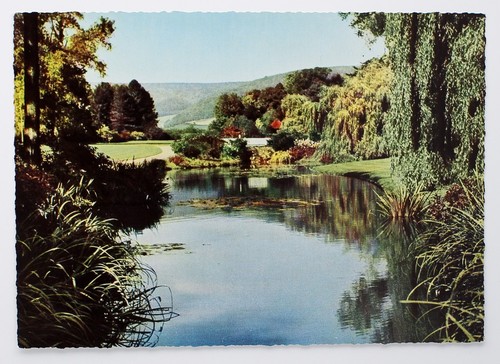 Postkarte bad pyrmont - postkarte, ak