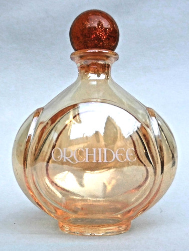 Orchidee yves rocher älterer - orchidee,