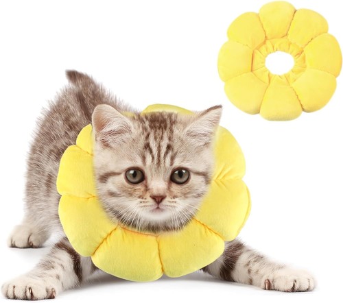 Moosono halskrause katze - moosono,