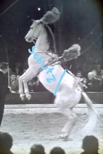 Dia foto zirkus barum - zirkus,