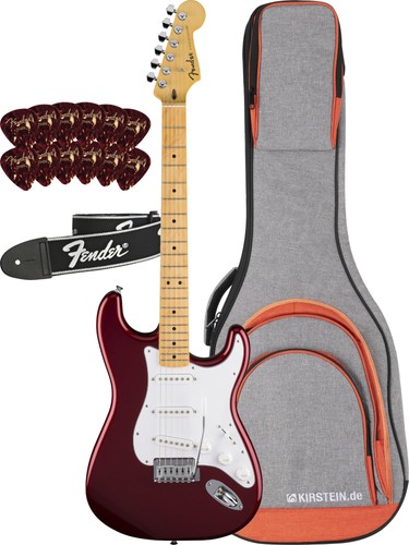 Fender standard stratocaster - standard,
