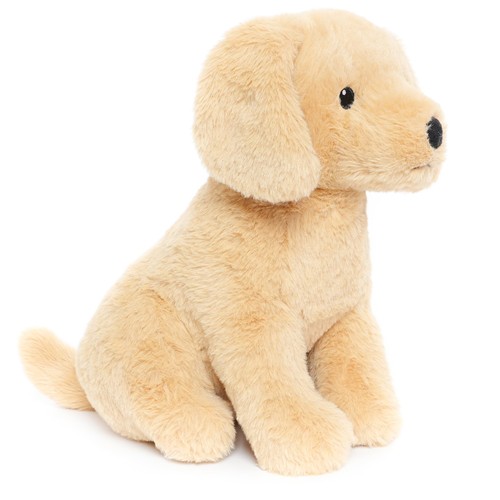 Golden retriever hund - retriever,