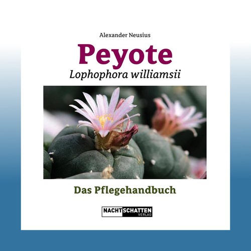 Peyote lophophora williamsii - -,