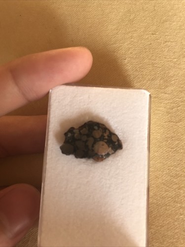 Gujba meteorite - gujba,