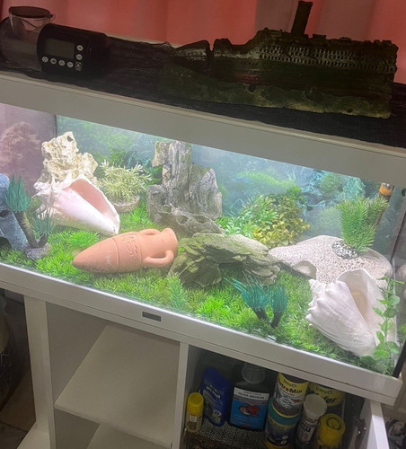 Jbl aquarium glas mit filter - jbl,