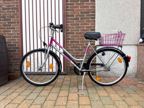 Ragazzi damenfahrrad citybike - damenfahrrad,