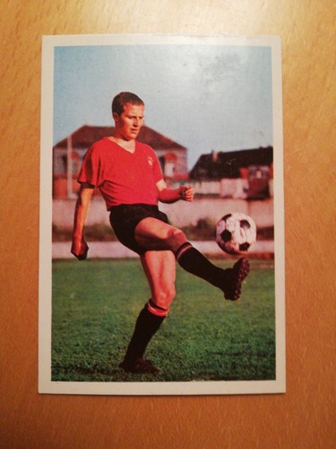 Bergmann 1967 207 - bergmann,