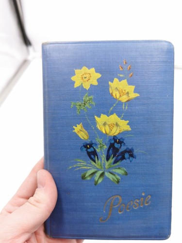 Poesie buch tagebuch - buch,