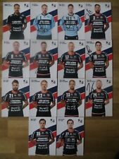 14 handsignierte Autogrammkarten SG FLENSBURG-HANDEWITT Handball 17/18 2017/2018