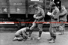 F023994 ein - ein, einheimischer