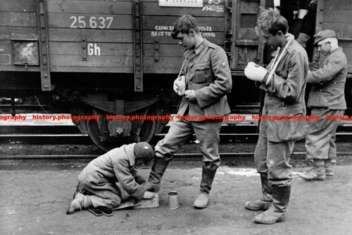 F023994 ein einheimischer - f023994,