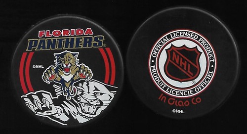 Eishockey puck florida - puck,