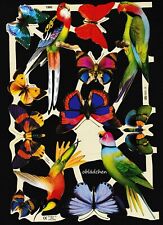 # GLANZBILDER # MLP  1960