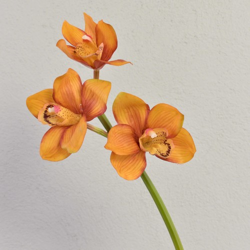 Artplants deko zweig cymbidium - artplants,