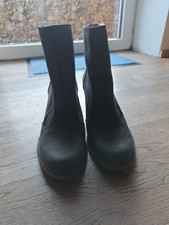 El Naturalista Damen