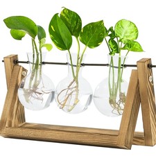 Hydrokultur Pflanzen