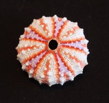 Atemberaubender tropischer