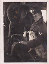 Foto - Luftwaffe Soldat im