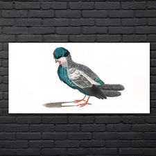 Zeichnung Tier Vogel Kunst