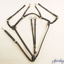 Passier Vorderzeug schwarz, WB, sehr guter Zustand