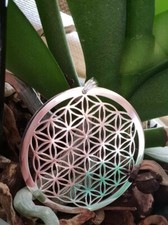 Blume des Lebens Anhänger Neu Silber 4,8cm 