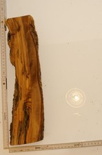 Olivenholz Epoxid Holz 5cm