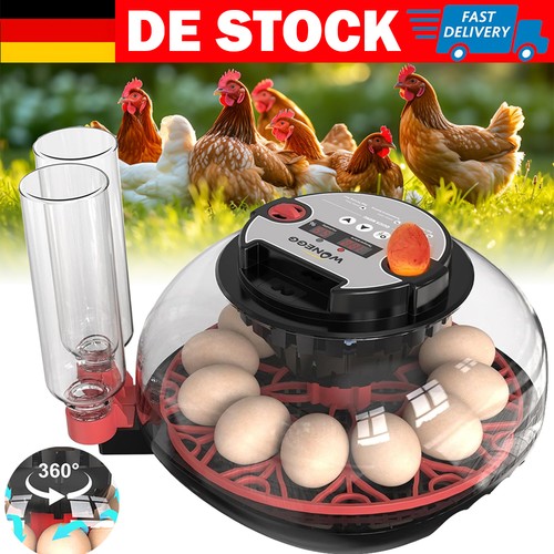 Brutmaschine für hühner - brutmaschine,
