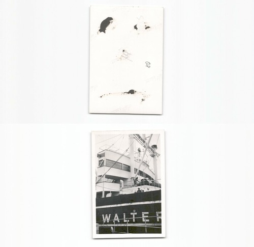 N1961908 deutscher walfang - deutscher,
