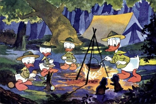 Walt disney donald duck - walt,