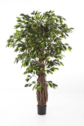 Artplants kunst ficus - artplants, xl