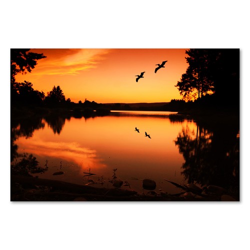 Postereck 1454 poster leinwand - postereck,