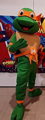Ninja turtles maskottchen - ninja,