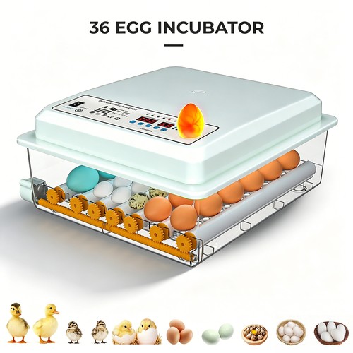 Vollautomatisch inkubator - vollautomatisch,