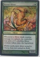 FOIL  Brood Sliver /
