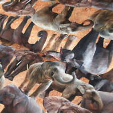 Baumwolljersey "Afrikanischer