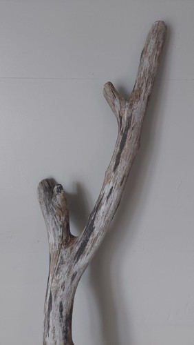 Diy treibholz schwemmholz - treibholz,
