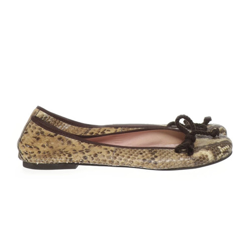 Pretty ballerinas - pretty,