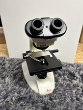 Leica BME Mikroskop
