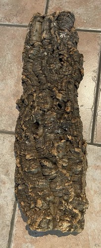 Xxl naturkork rinde - naturkork, ~