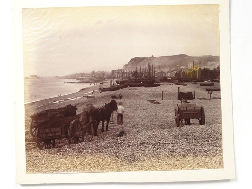 Hastings beach horse drawn - hastings,