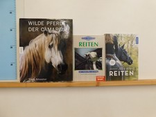23 Bücher Pferde Pferdepflege Reiten Pferdesachbücher Reitsport reiten lernen