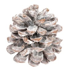 NaDeco Pinienzapfen groß