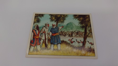 Wagner margarine sammelbild - margarine,