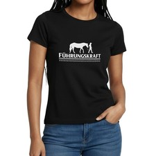 Pferd führungskraft reiten - pferd,
