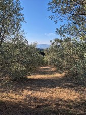 Toskana - Bild - Fotografie -