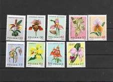 POLEN 1965 ORCHIDEEN