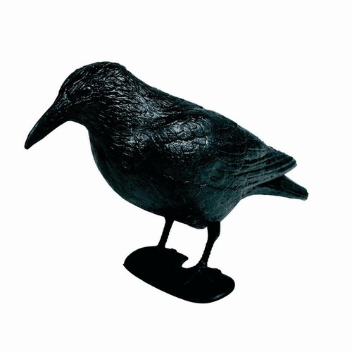 Rabe kunststoff 38cm schwarz - rabe,
