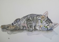 Aquarell Katze – handgemalt, getigerte Katze, UNIKAT, Kunst, Tierportrait